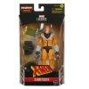 Marvel Legends Series Sabretooth Action Figure