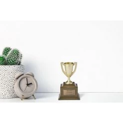 Toynk Surreal Entertainment Marvel Ant-Man Worlds Greatest Grandma 6-Inch Resin Trophy Replica 11 Toynk Surreal Entertainment Marvel Ant-Man Worlds Greatest Grandma 6-Inch Resin Trophy Replica -Disney Toys Sales unnamed file 4033